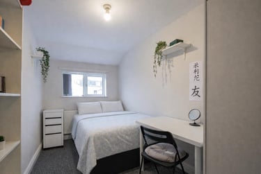 7 bed house, Treherbert Street, Cathays, Cardiff, CF244JN - Image 3